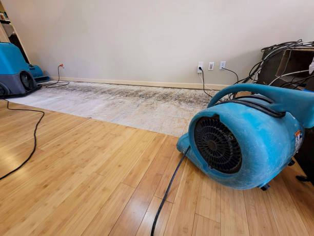 Professional Water Damage Repair technician working in Lafferty, OH