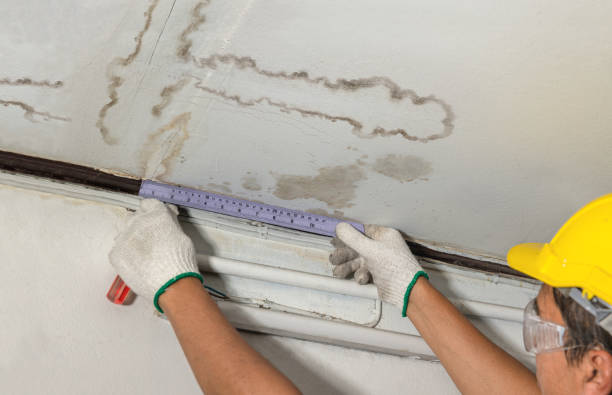 Affordable Water Damage Repair solutions in Lafferty, OH